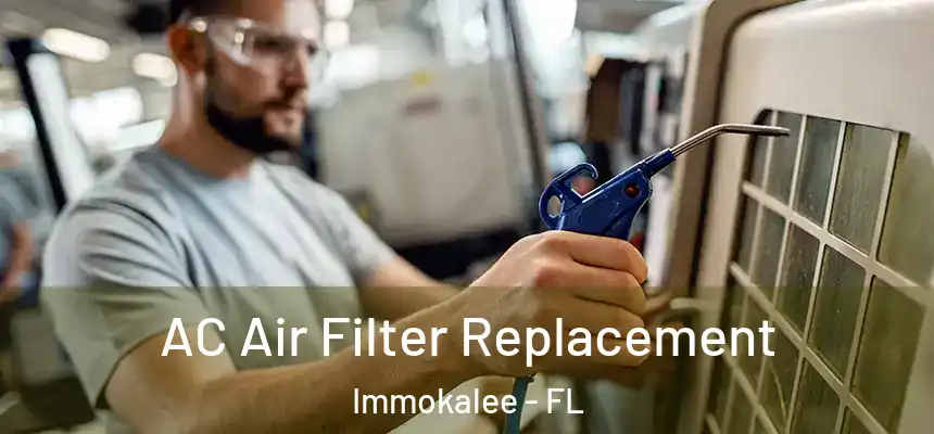 AC Air Filter Replacement Immokalee - FL