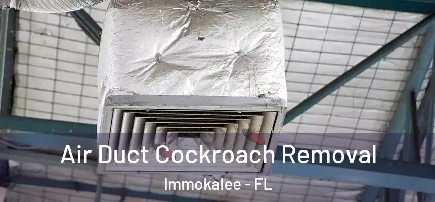 Air Duct Cockroach Removal Immokalee - FL