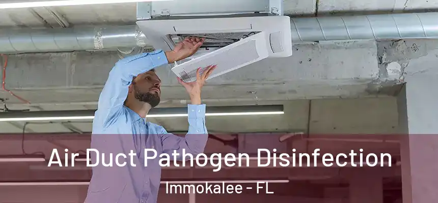 Air Duct Pathogen Disinfection Immokalee - FL