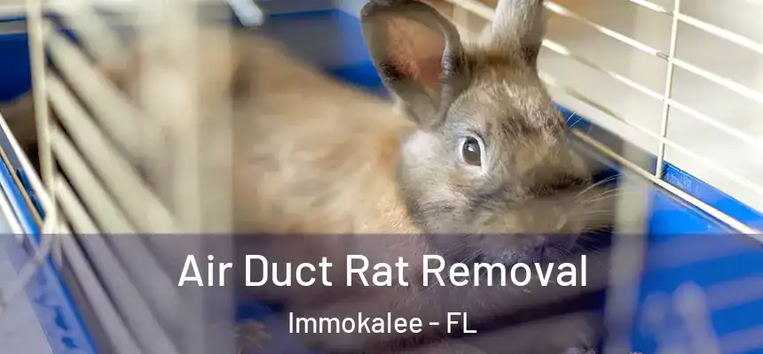 Air Duct Rat Removal Immokalee - FL