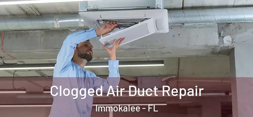 Clogged Air Duct Repair Immokalee - FL