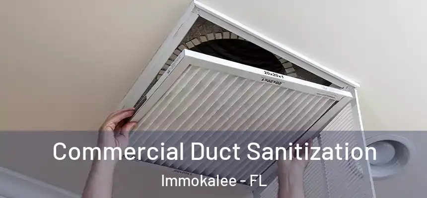 Commercial Duct Sanitization Immokalee - FL