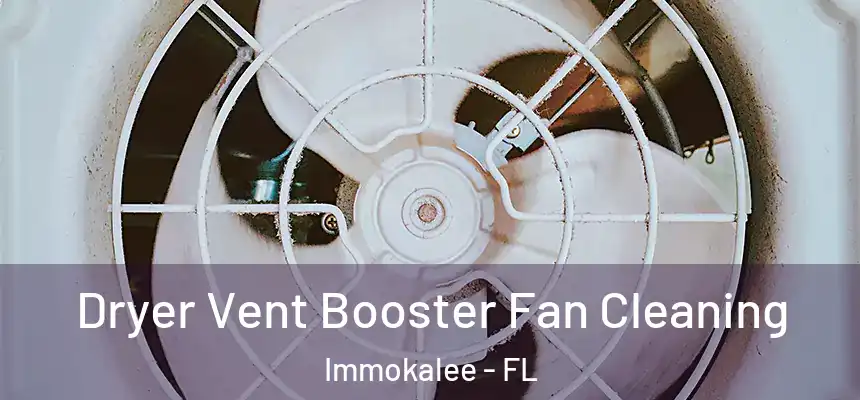Dryer Vent Booster Fan Cleaning Immokalee - FL