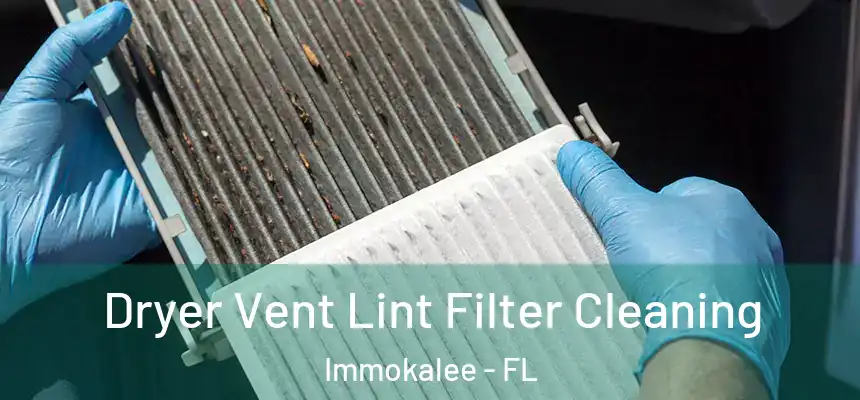 Dryer Vent Lint Filter Cleaning Immokalee - FL