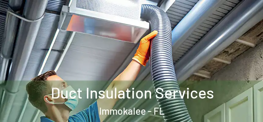 Duct Insulation Services Immokalee - FL