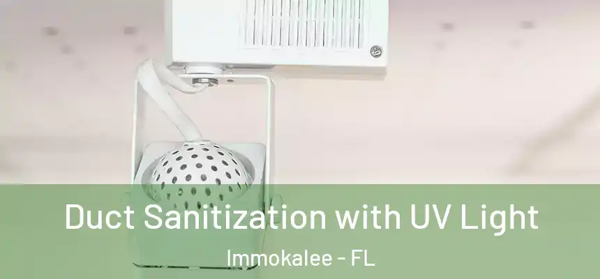 Duct Sanitization with UV Light Immokalee - FL