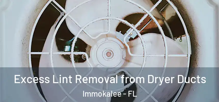 Excess Lint Removal from Dryer Ducts Immokalee - FL