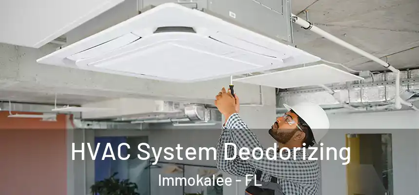 HVAC System Deodorizing Immokalee - FL