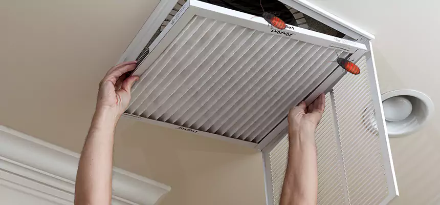 Preventive Cockroach-Proofing for Ducts in Immokalee