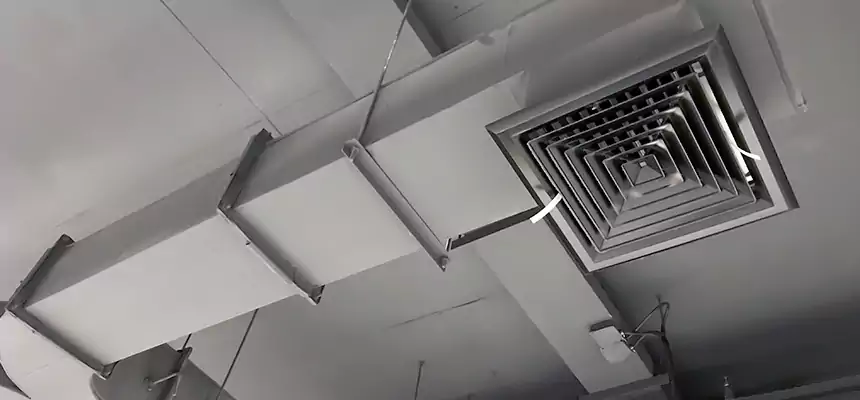 Restorative Allergy Relief Vent Cleaning – Coil, Blower & Housing Detail in Immokalee