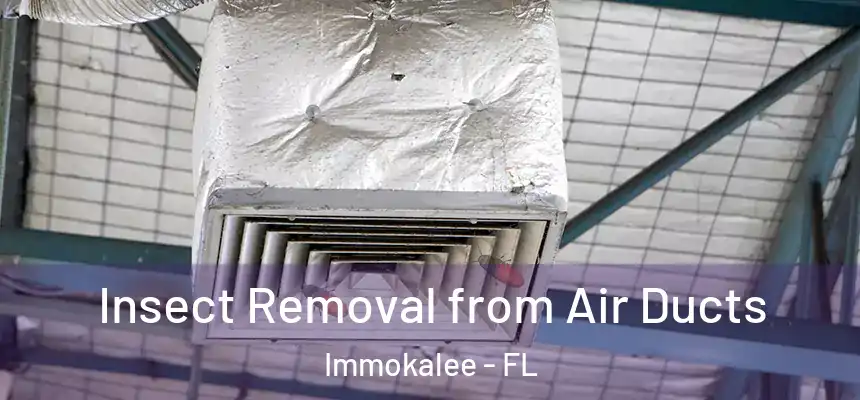 Insect Removal from Air Ducts Immokalee - FL