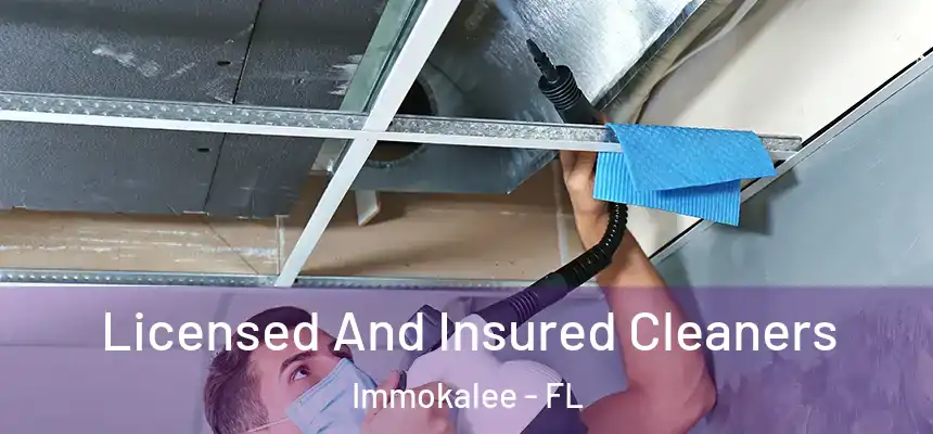 Licensed And Insured Cleaners Immokalee - FL