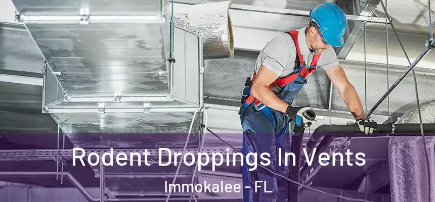 Rodent Droppings In Vents Immokalee - FL
