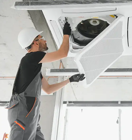 About Air Duct Rodent Removal in Immokalee, FL