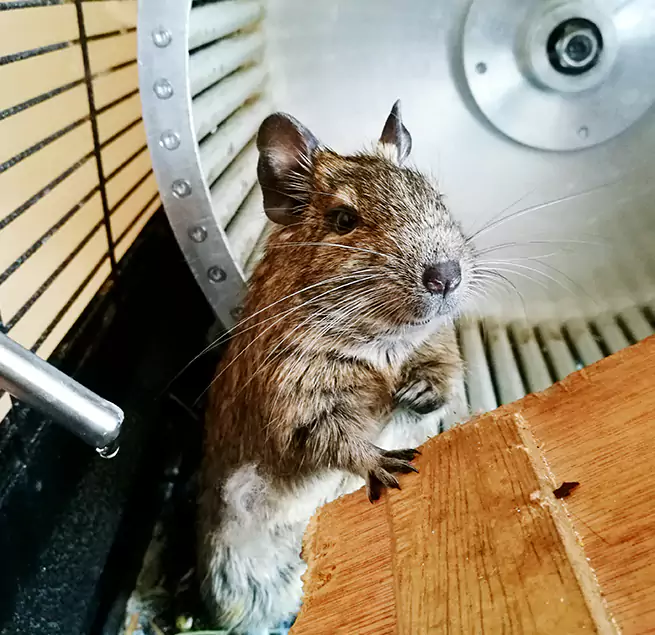 Why Homeowners & Businesses Trust Us Immokalee, FL?