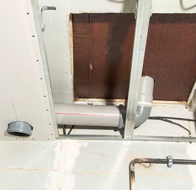 Why Homeowners & Businesses Trust Us in Immokalee, FL?