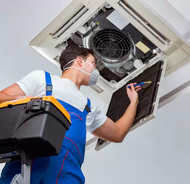 Why Homeowners & Businesses Trust Us in Immokalee, FL