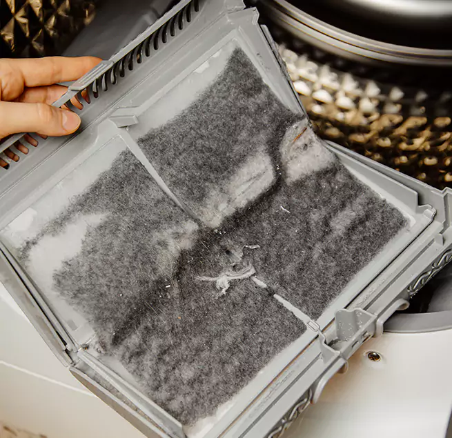 Why Homeowners & Businesses Trust Us Immokalee, FL?