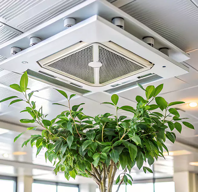 Why Homeowners & Businesses Trust Us in Immokalee, FL