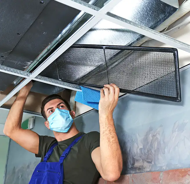 Why Homeowners & Businesses Trust Us in Immokalee, FL?